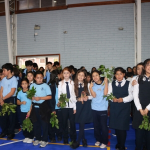 Celebración de Ramos